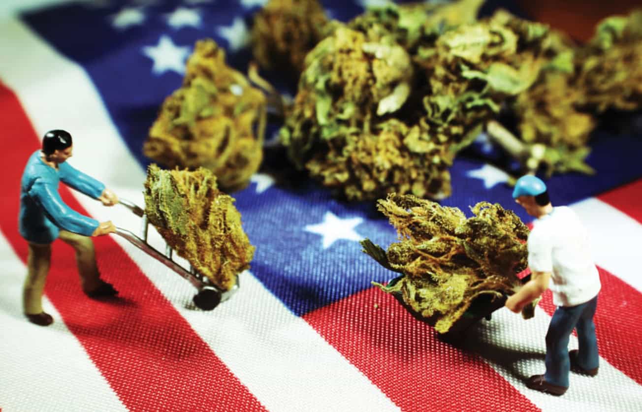 Američania v roku 2021 na CBD minuli až 1,4 miliardy €