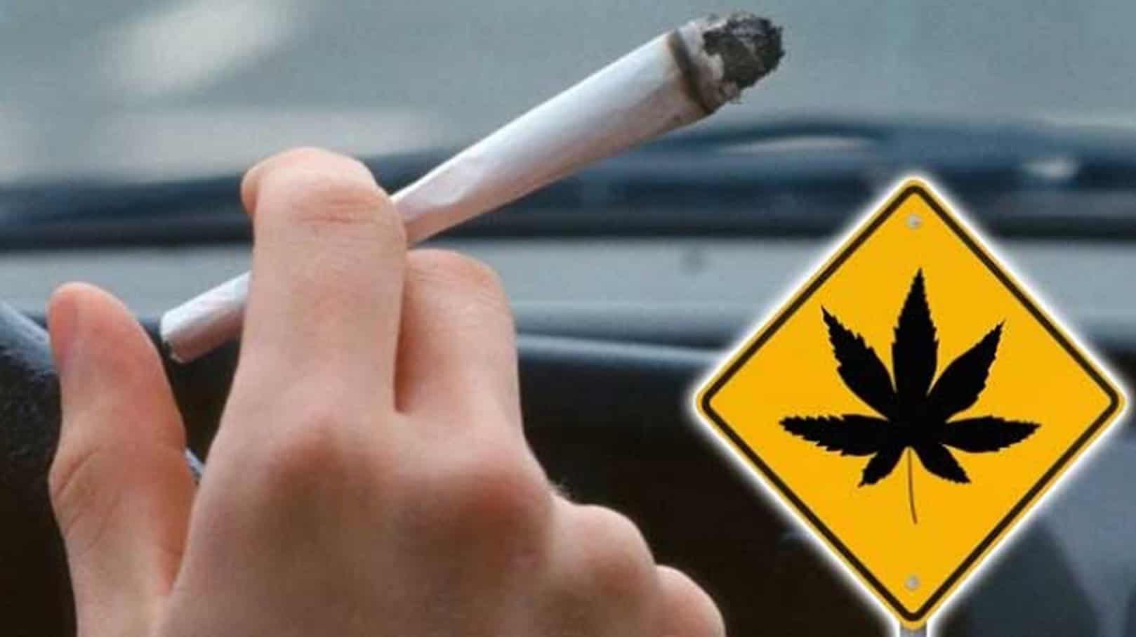 Štúdia – CBD nemá závažný vplyv na šoférovanie