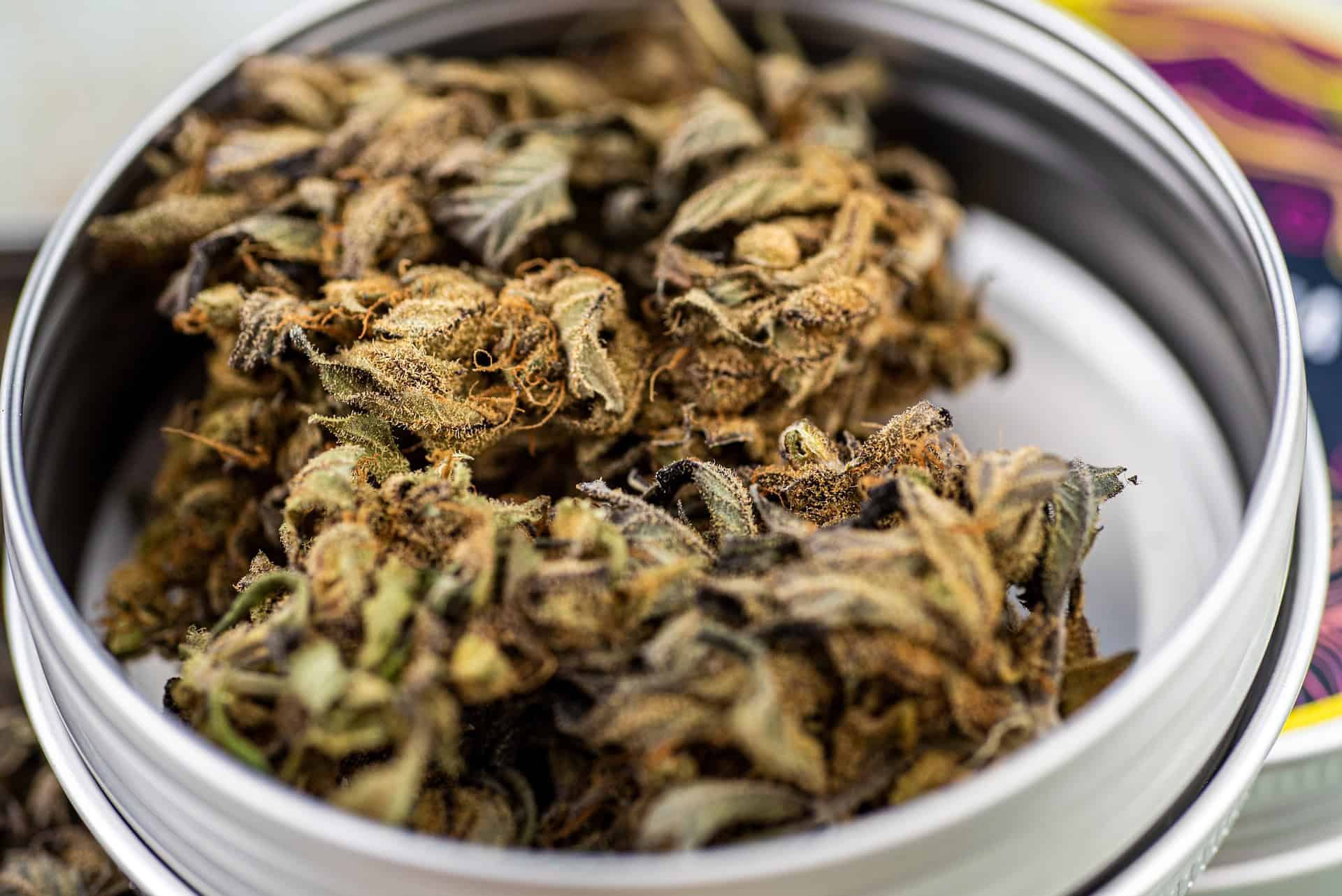 Kanabigerol (CBG) a jeho účinky