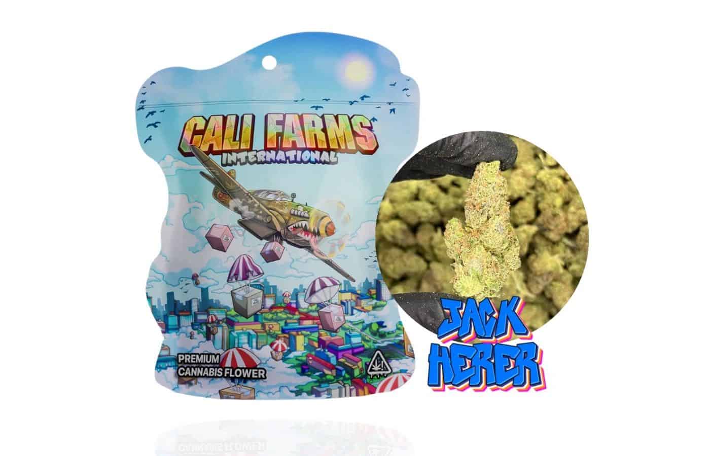 Najsilnejšie CBD kvety (šišky) – ktoré sú najlepšie?