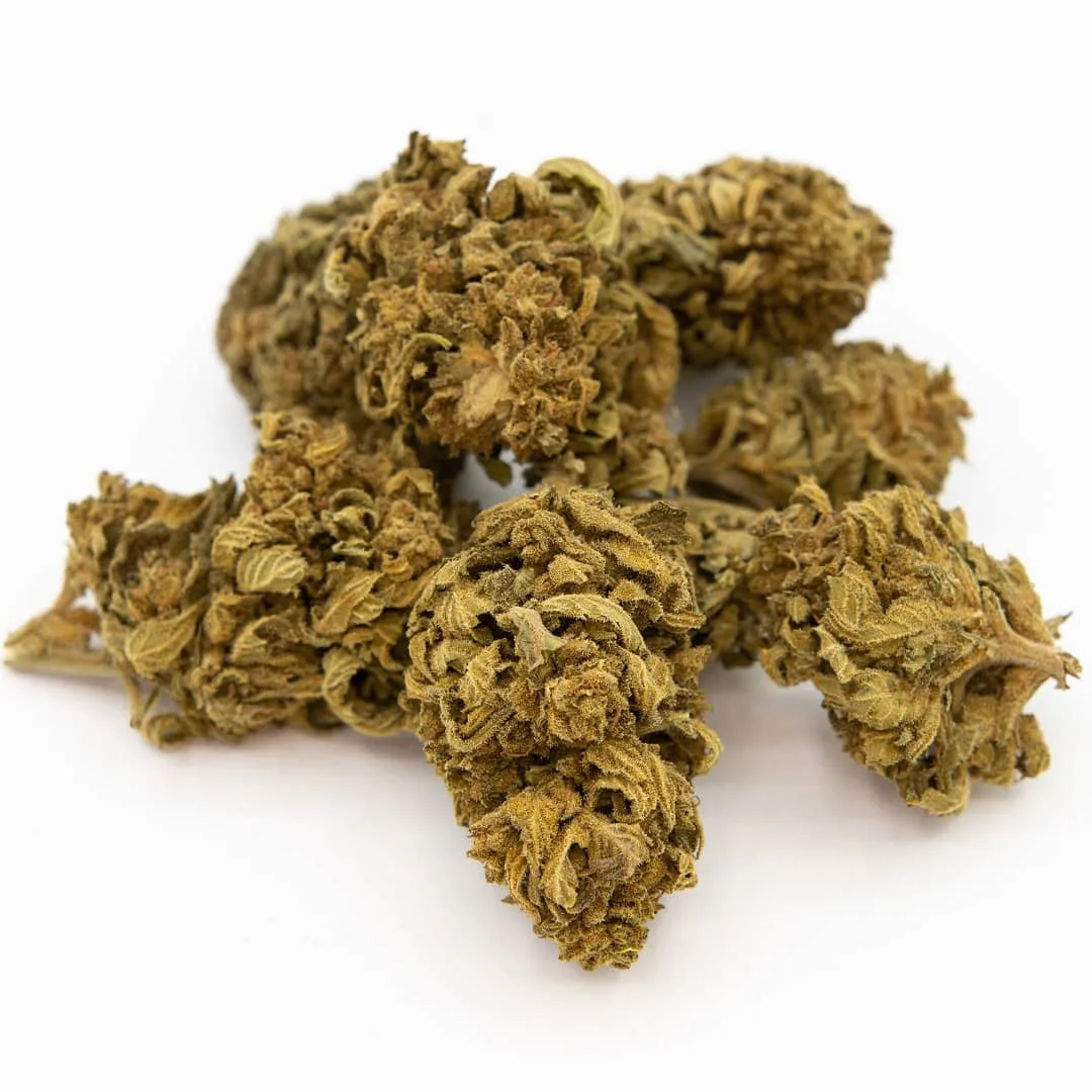 White Widow konopné kvety CBD - skleník - BULK