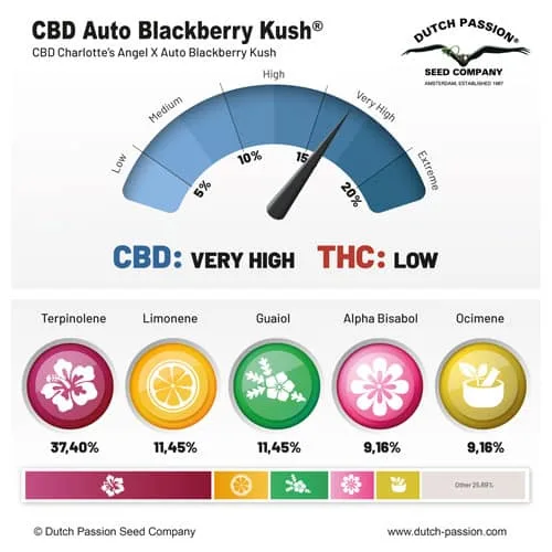 cbd semená konope