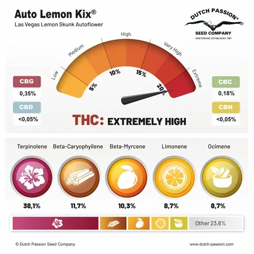 Lemon Kix AUTO Dutch Passion, 3 seeds info